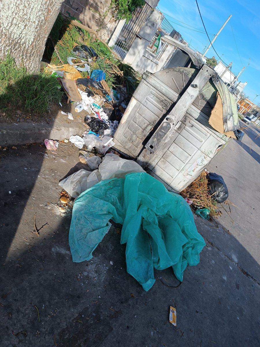 DIEGO ACEVEDO tweet media