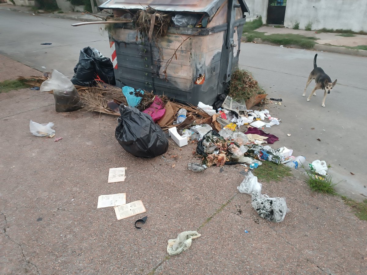 DIEGO ACEVEDO tweet media