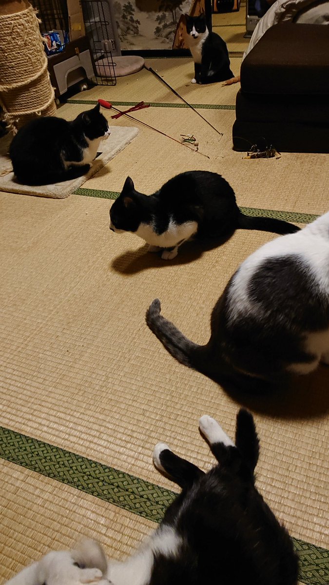 T.K motor company tweet media