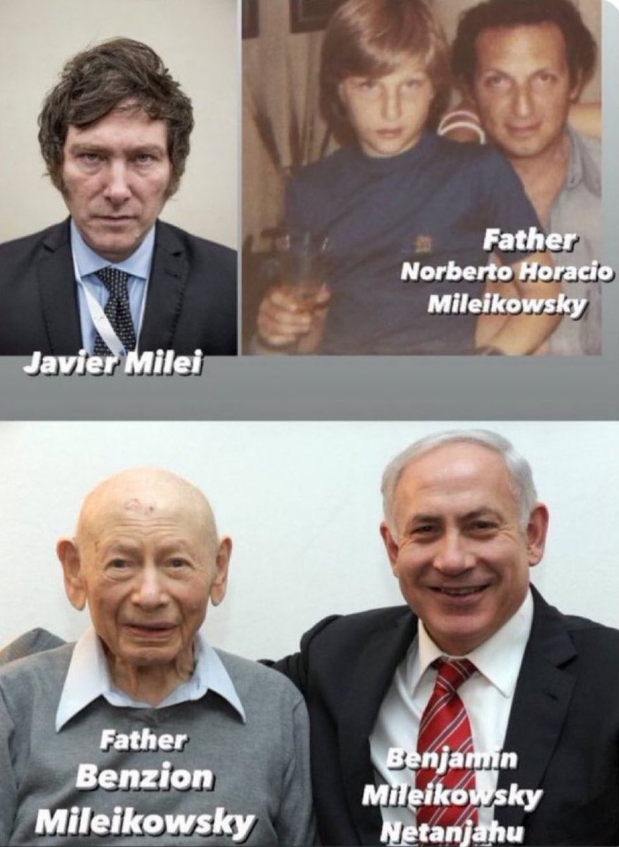 Krazy Kat • 🇮🇹 🐈🍊🪆🥓 tweet media