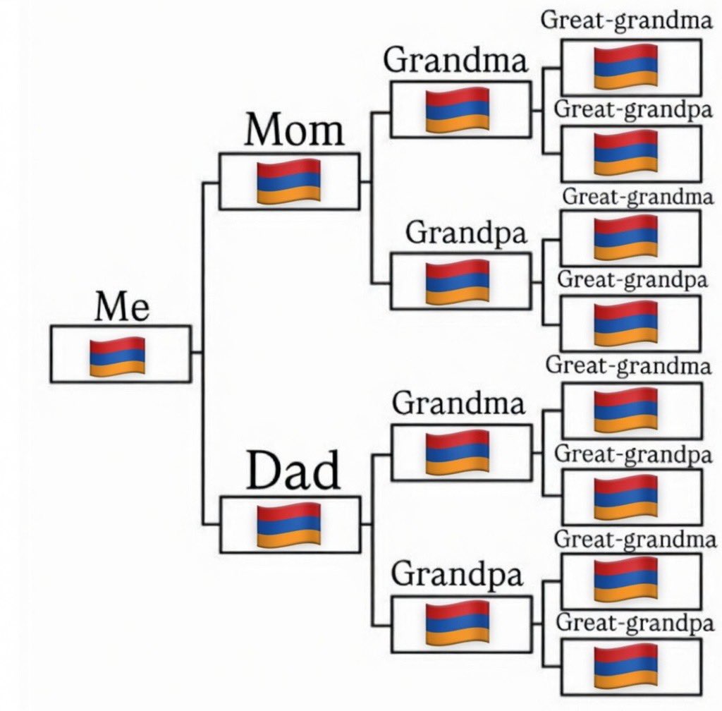 🇦🇲 tweet media