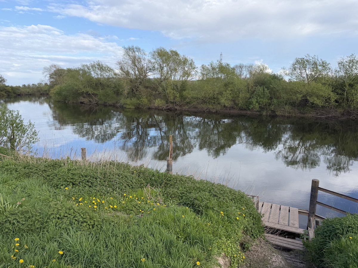 Cazlar123's tweet image. On my afternoon walk, reflections on the River Severn, newly ploughed fields and sheep and lambs grazing in the sunshine 
#villagelife