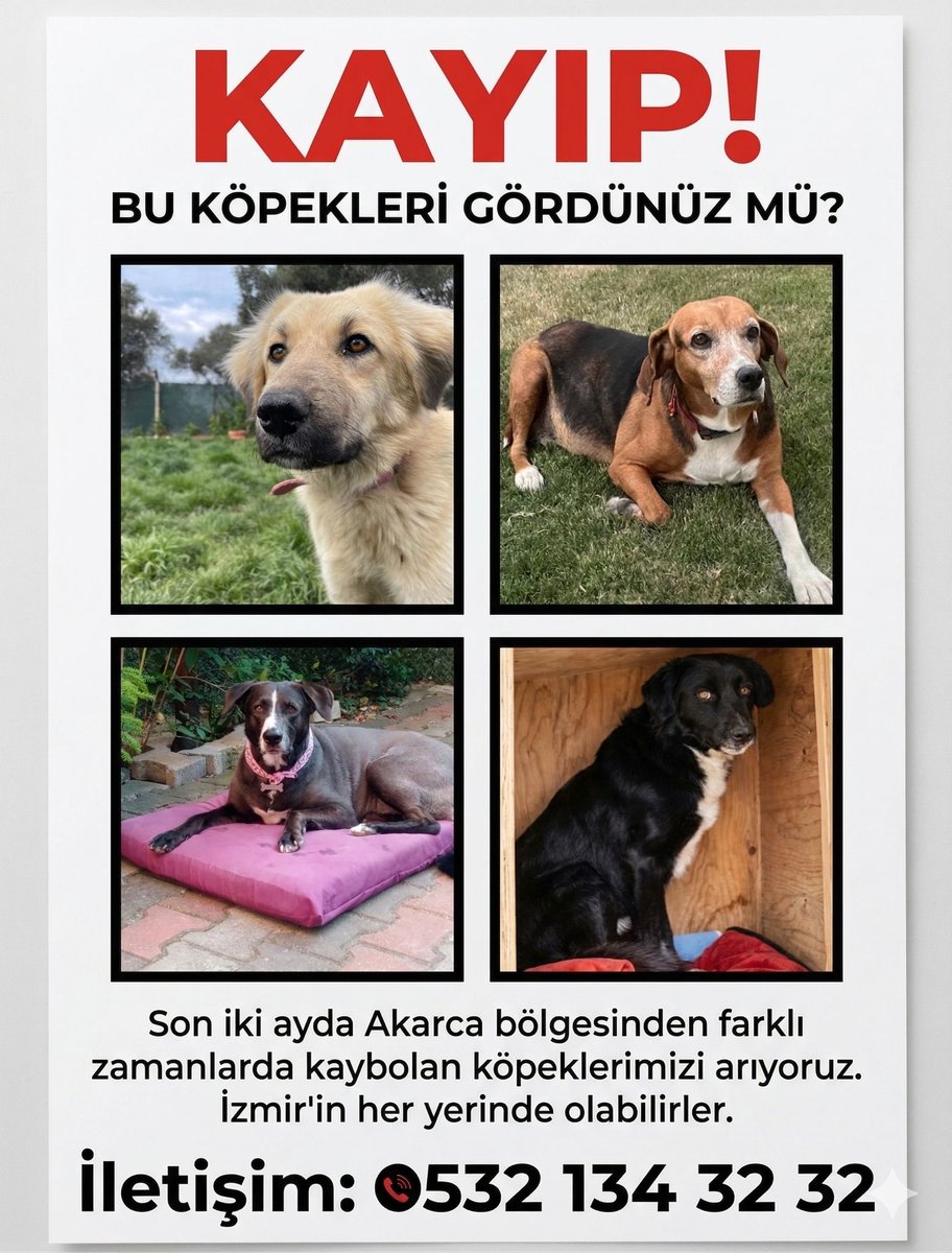 ilkay Akkaya tweet media