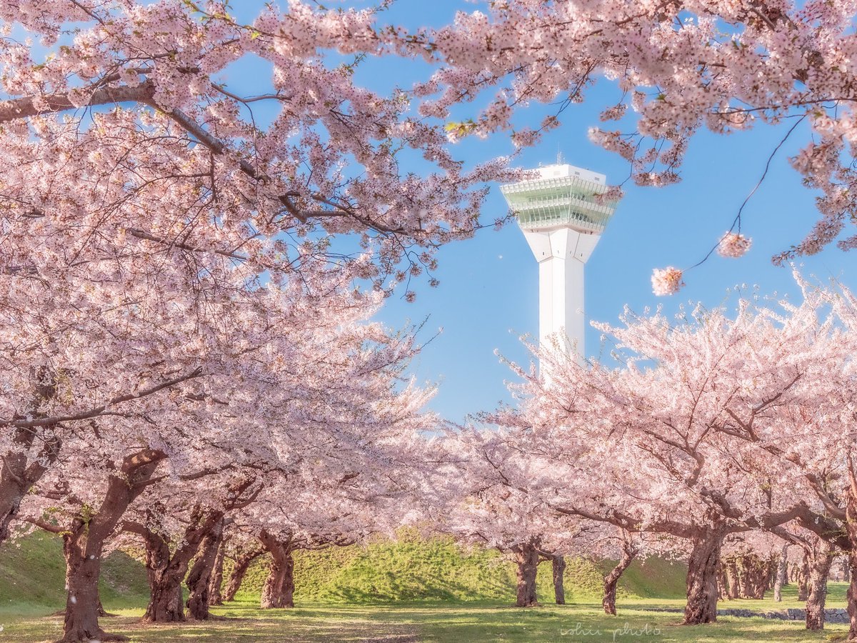 tokyocamerajp's tweet image. 東京カメラ部Xアカウントへのishiii_pさんの投稿作品。リポスト＆いいね！大歓迎です。

#東京カメラ部 #Photograph #tokyocameraclub