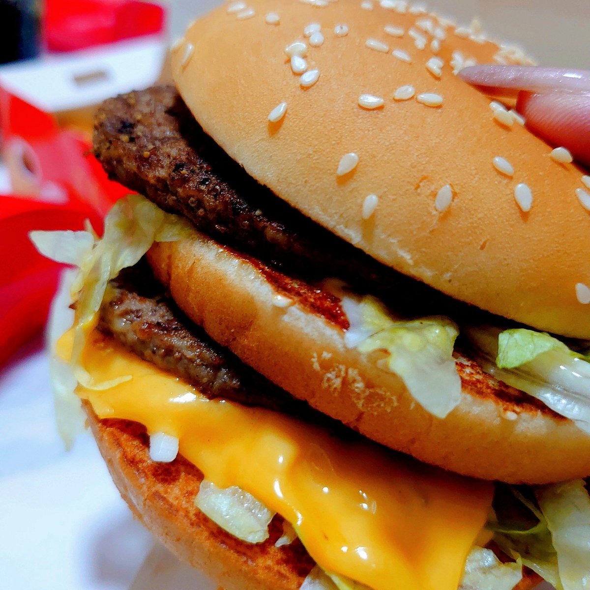 𝒆𝑴𝒖🐾 tweet media