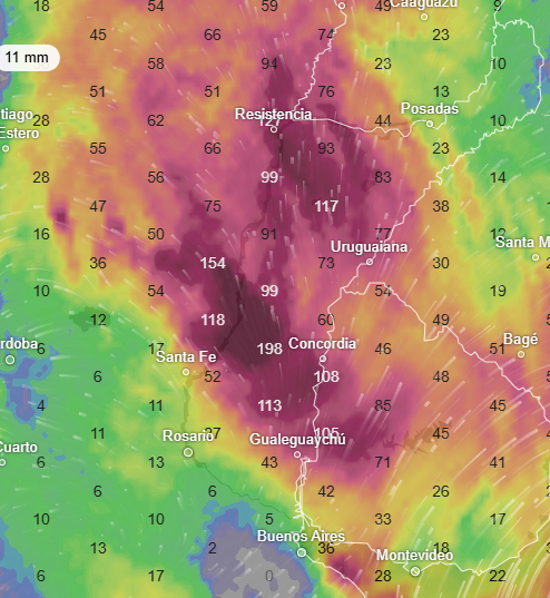 El Oráculo de Trenque Lauquen tweet media