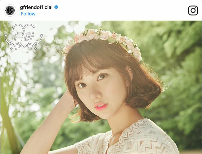 Knight Friend tweet media