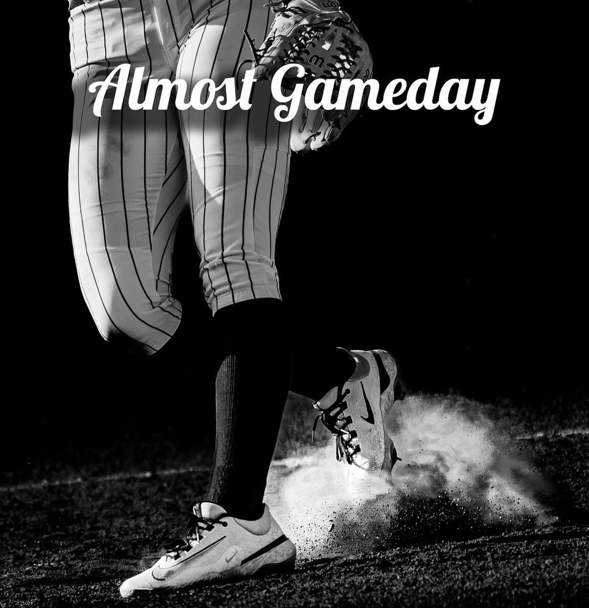 FHSLionsSoftball tweet media