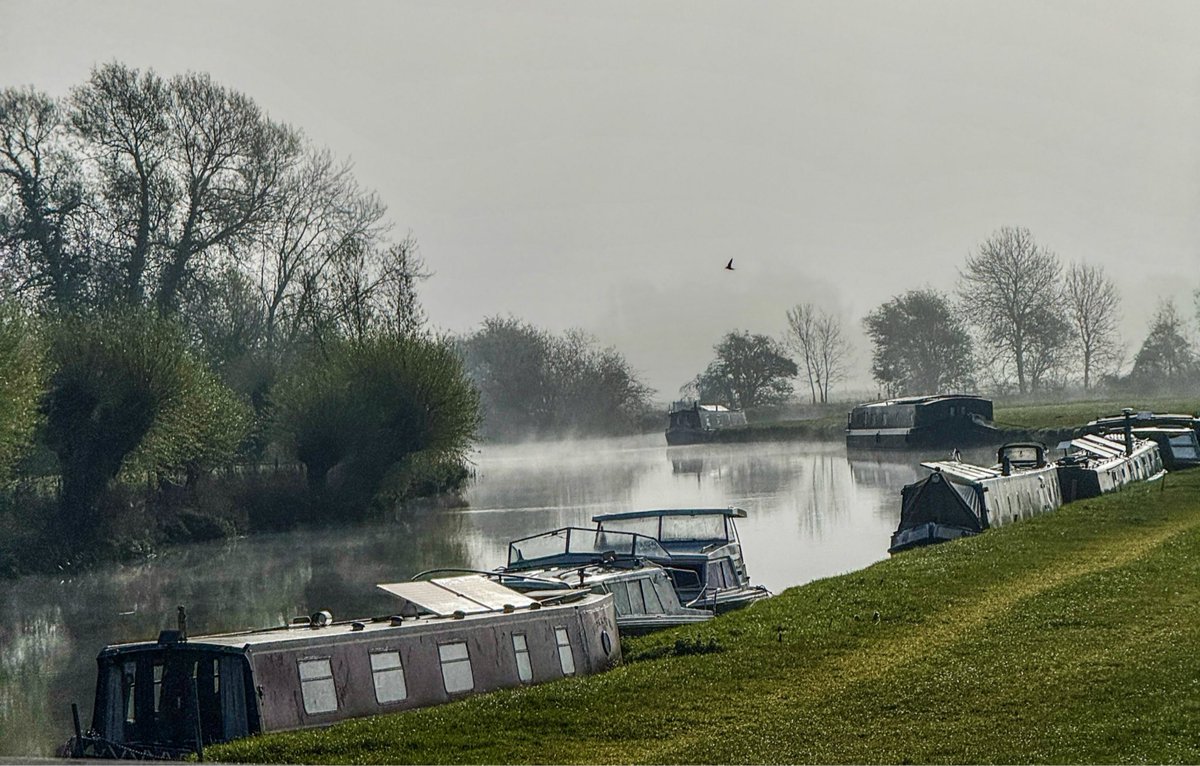 canoethethames tweet media