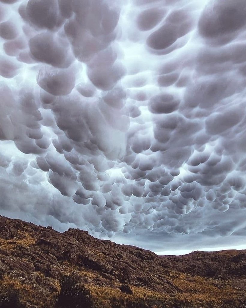 earthcurated's tweet photo. Mammatus clouds (or also known as bubble storm clouds) in the skies of Argentina ☁️ https://t.co/fV8ZmbFQFj