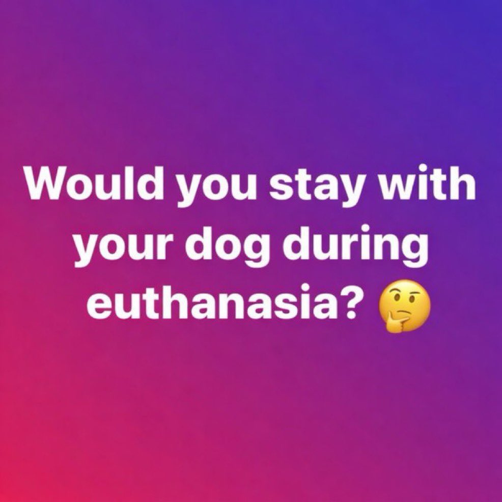 Honey 🛼 tweet media