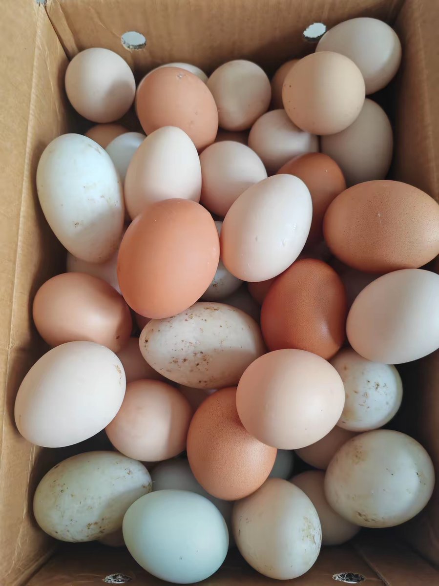 carbrera joseluis tweet media