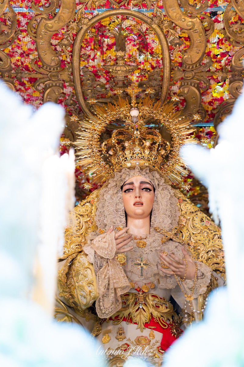 Mi Virgen, mi niña, mi Reina…

Que bonita es la vida si los Lunes son entero para ti

S A L V D ⛲️🤍

<a href="/HdadSanGonzalo/">Hermandad de San Gonzalo</a> 
<a href="/BMSantaAna/">B.M. Santa Ana</a>