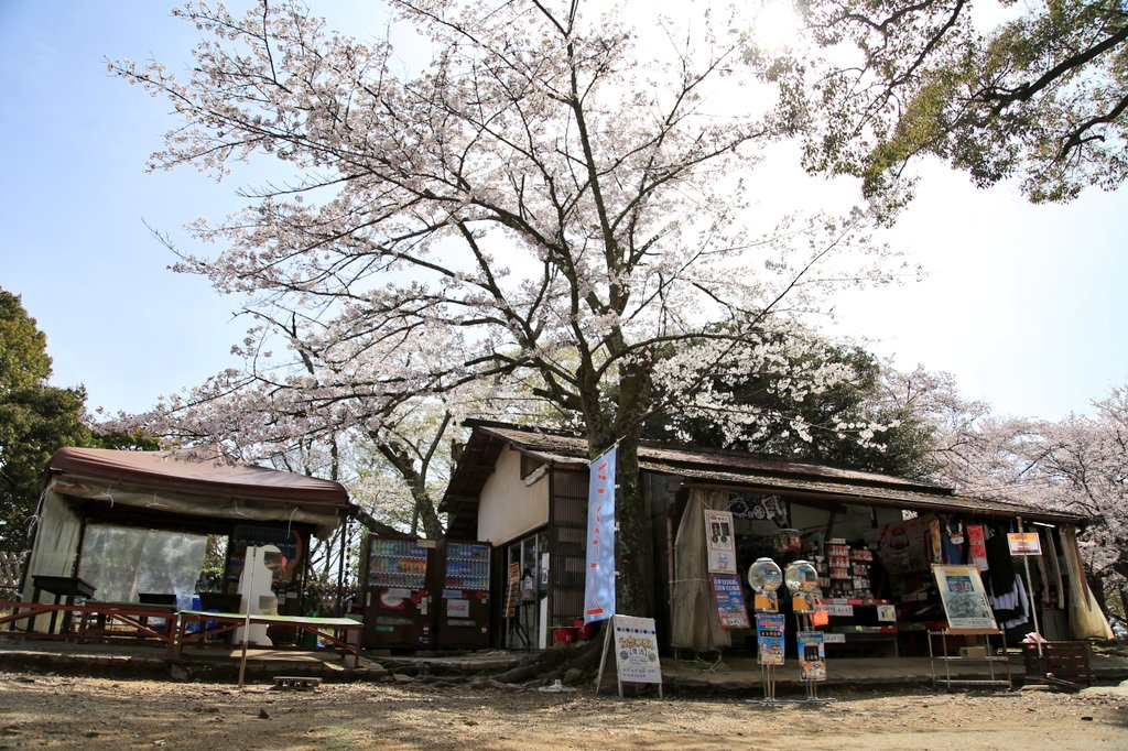 てんちょーの部屋 tweet media