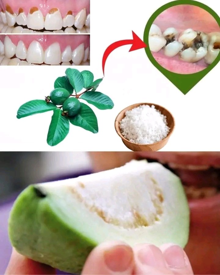 Doctor natural care tweet media