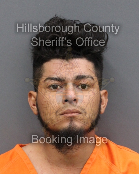 Illegal Alien Crimes tweet media