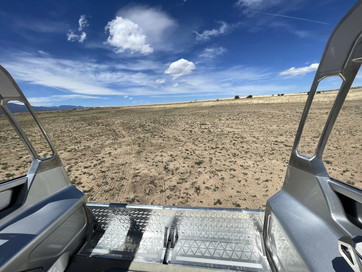 Taylor Sargent tweet media