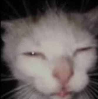 EDDIELEFT_🥜SACK tweet media