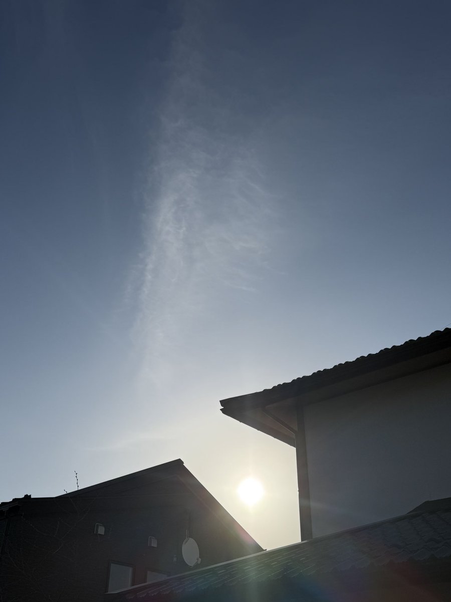 marurin co,Ltd tweet media