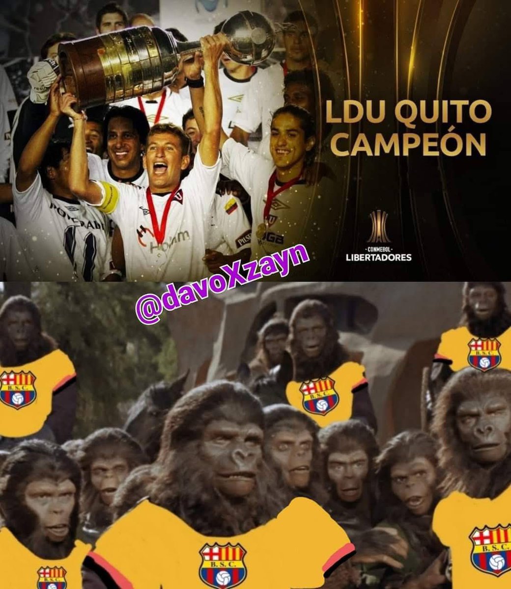 Sebastian Bucheli tweet media