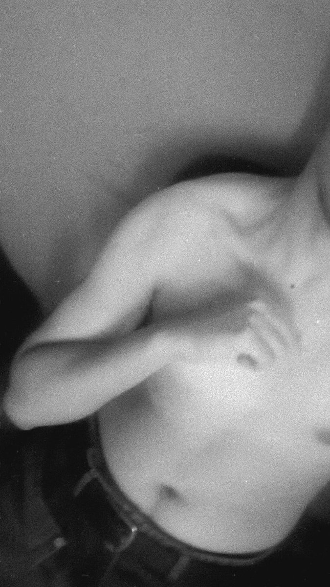 Kekes_Blender tweet media