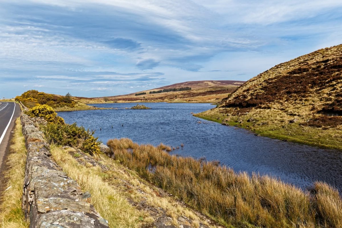 This is Ireland 🇮🇪☘️ tweet media