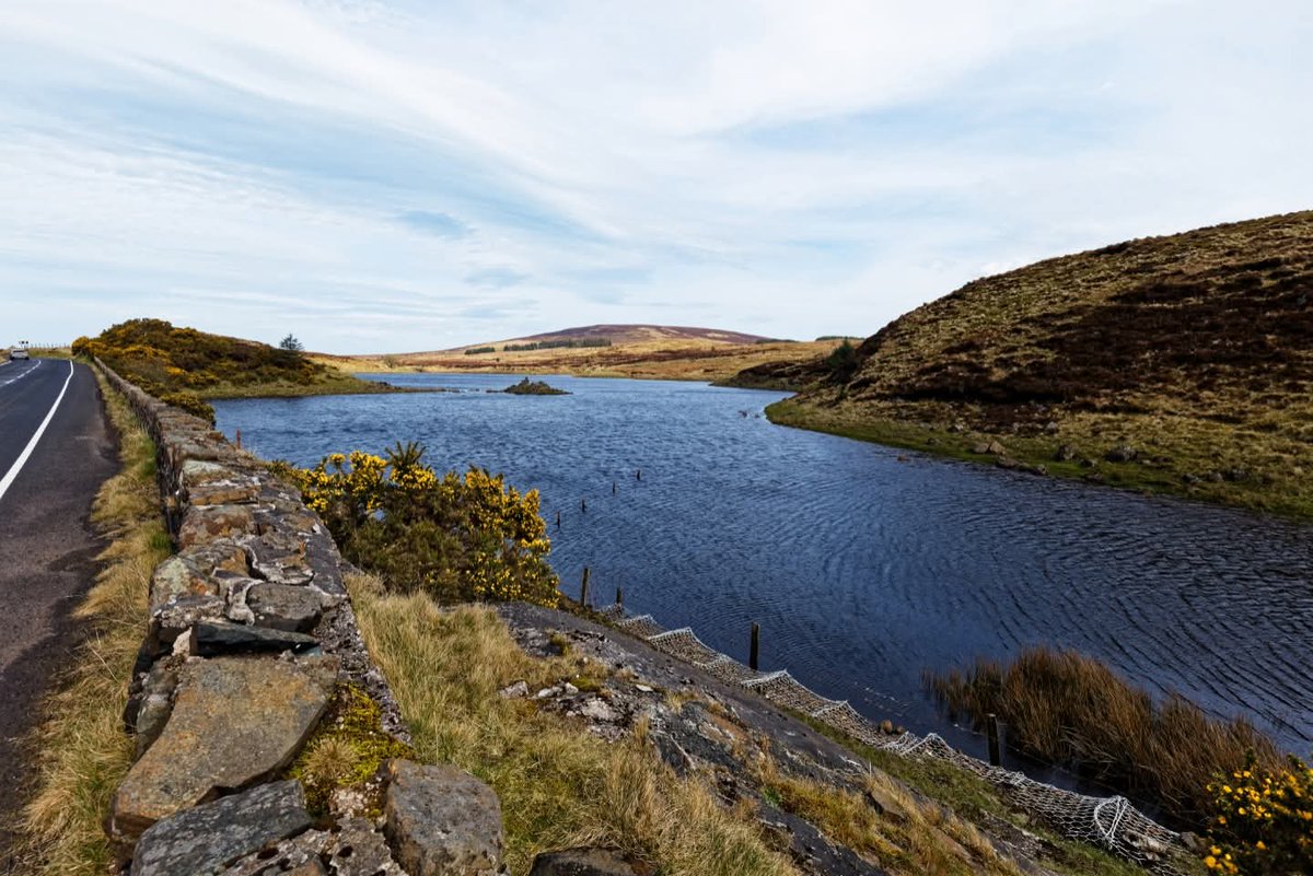 This is Ireland 🇮🇪☘️ tweet media