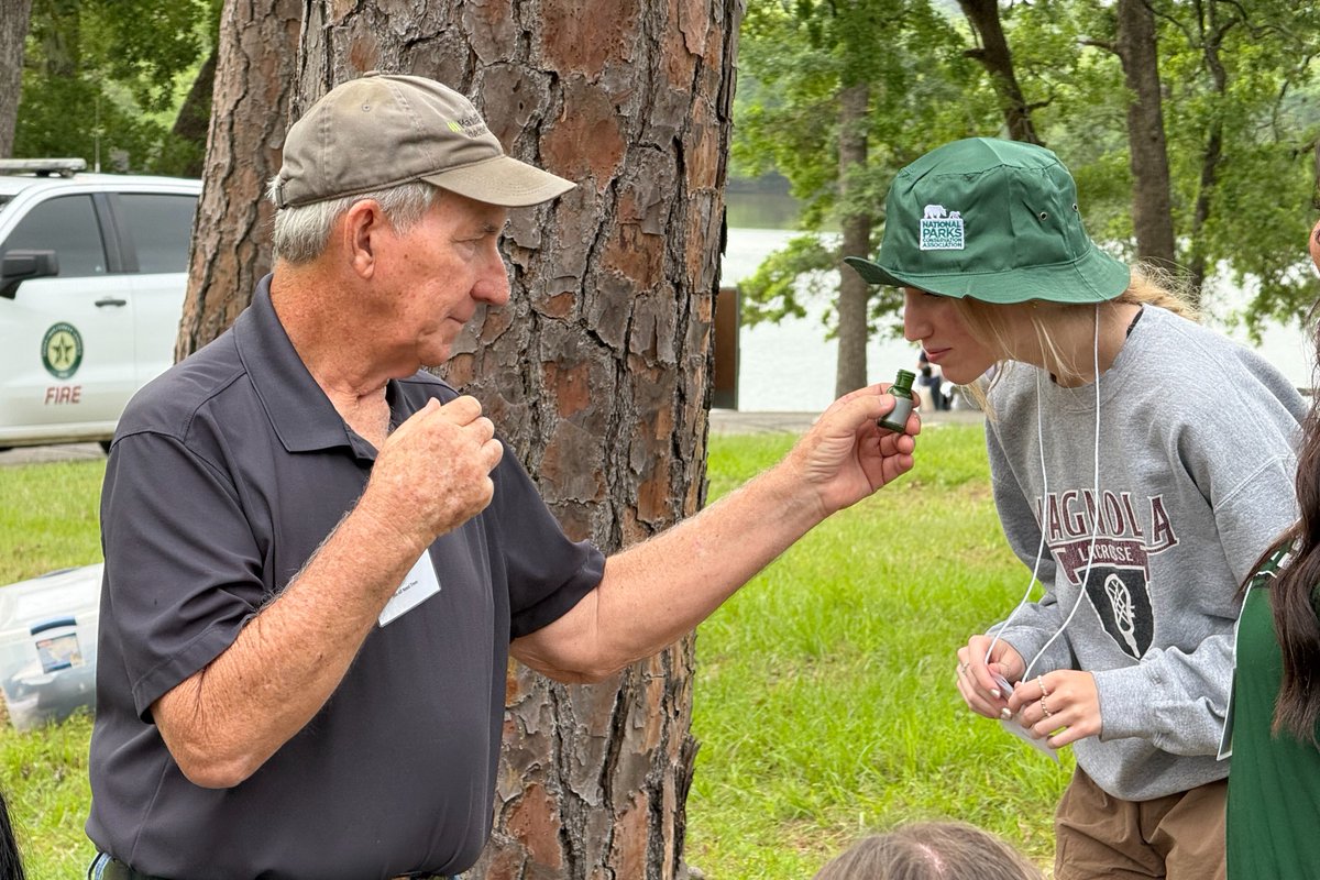 Texas Forestry Association tweet media