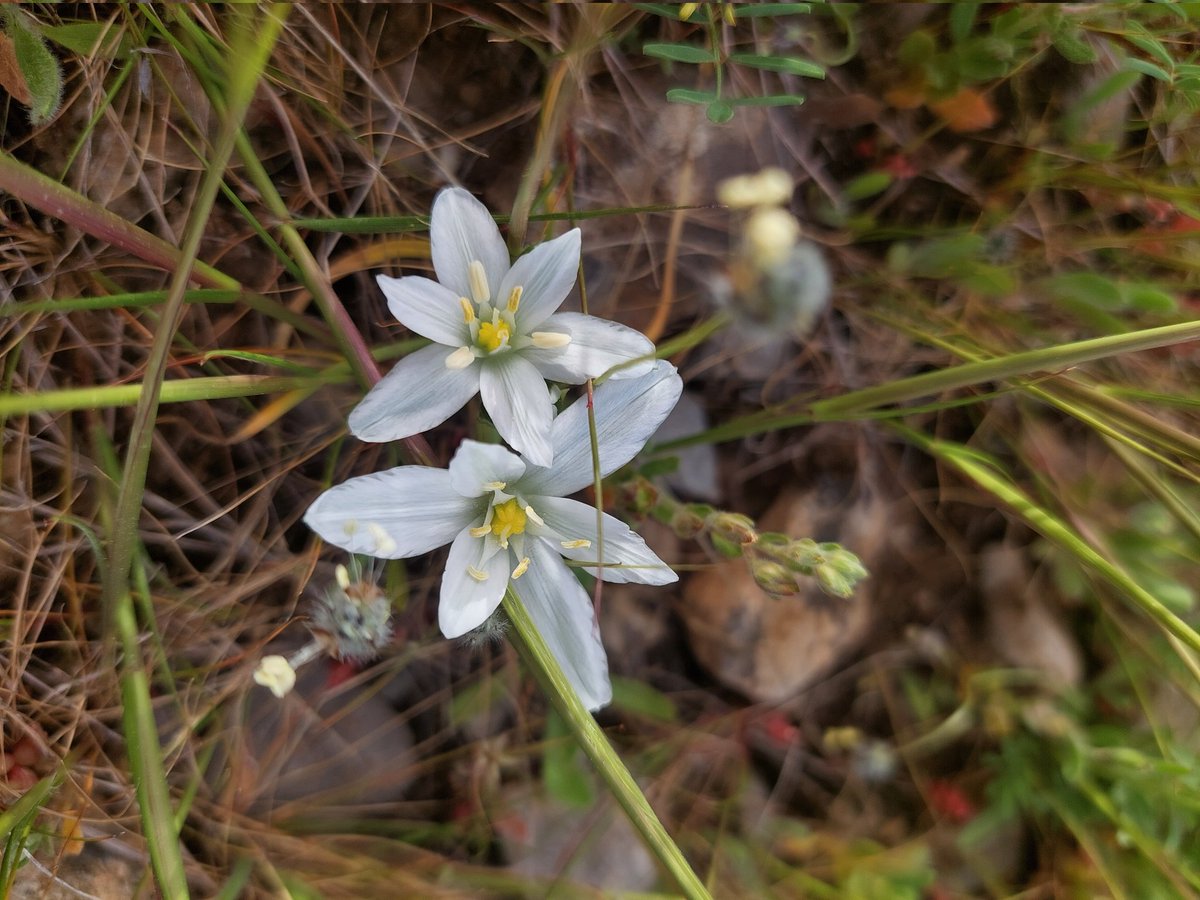 W🇦🇶🛰️ tweet media