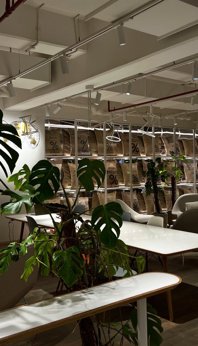 طمّاح🇵🇸 tweet media