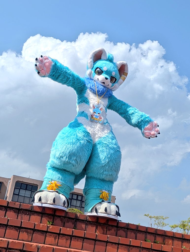 ゴマ(Goma) tweet media