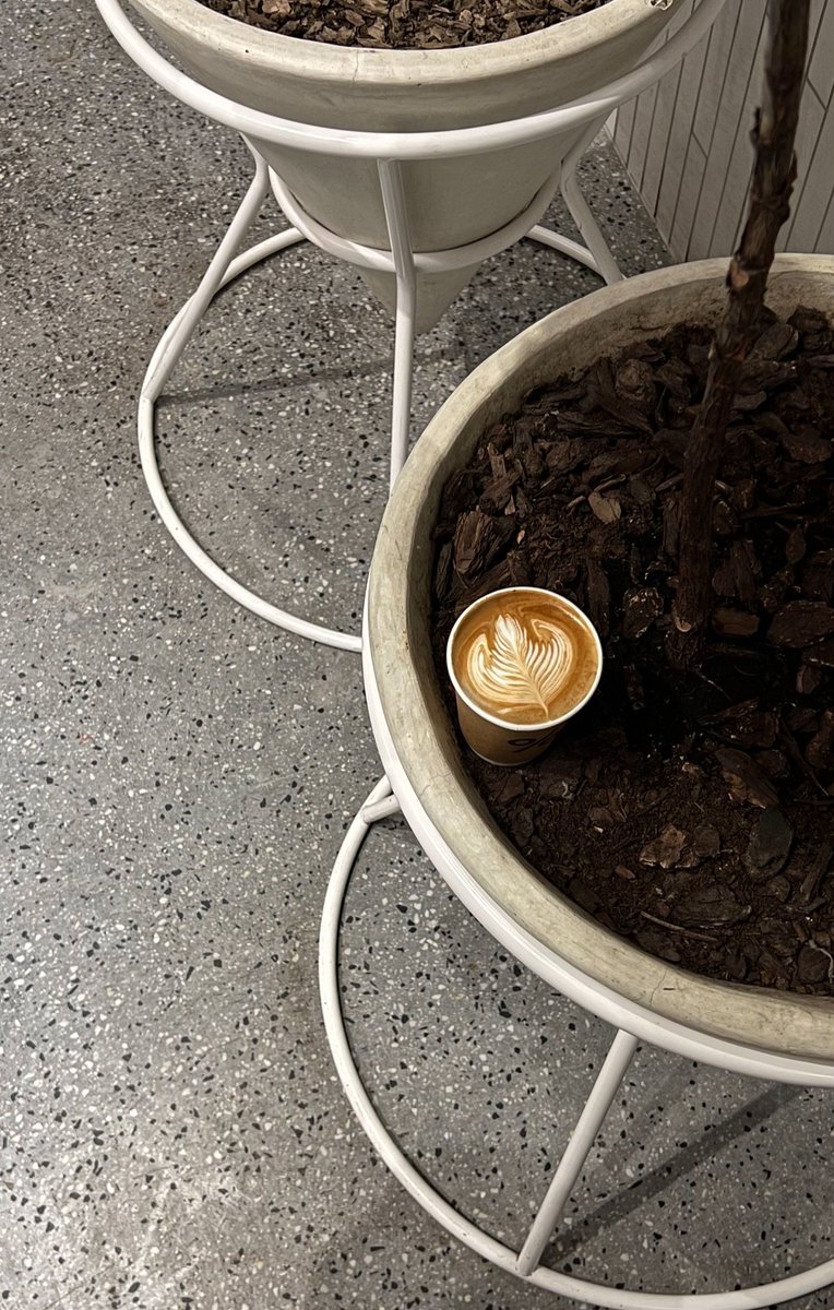 طمّاح🇵🇸 tweet media