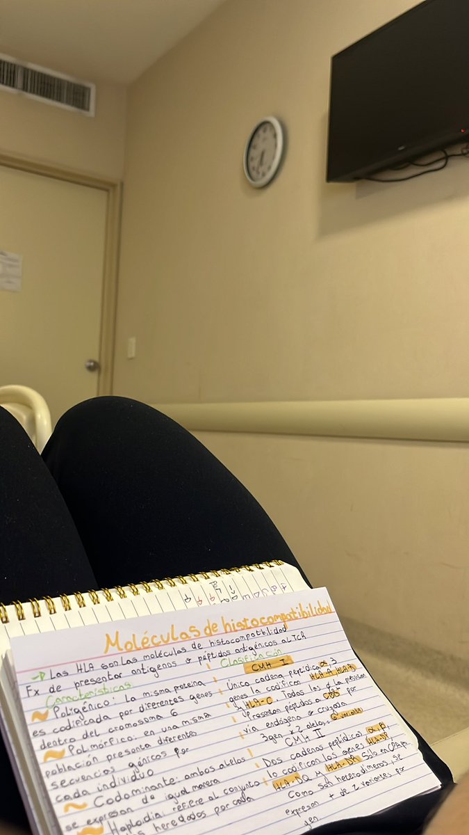 cami🦭 tweet media