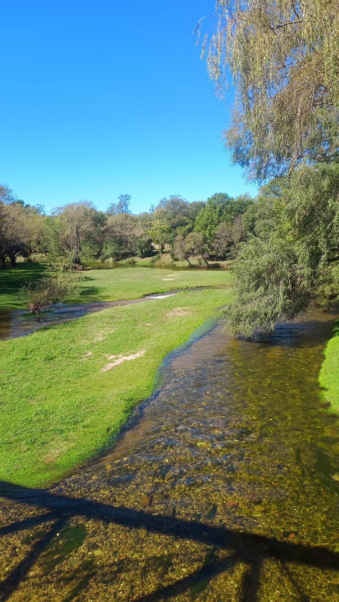 Río de los Sauces 😍