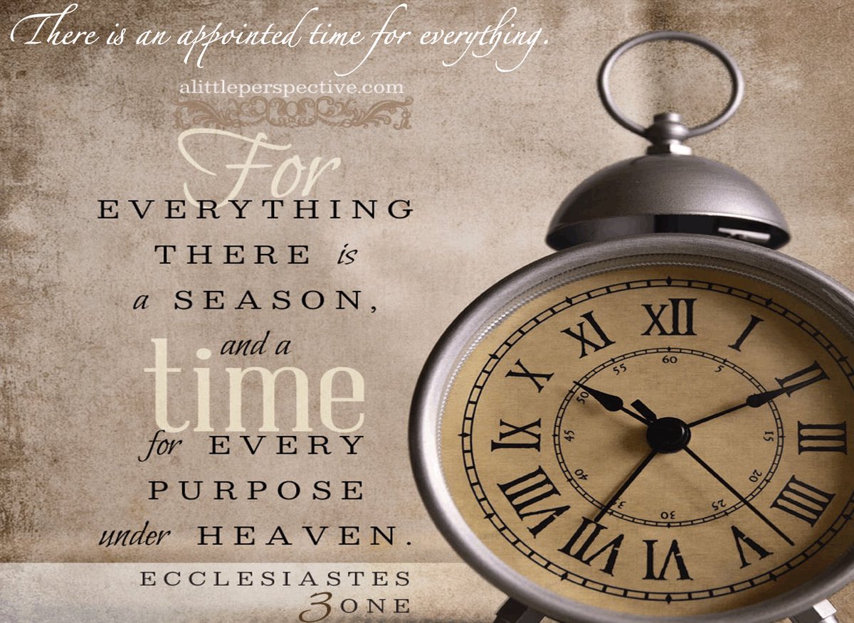 John J Ogle tweet media