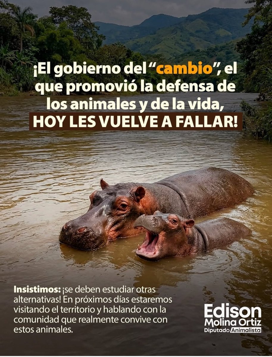 Sergio Barbosa tweet media