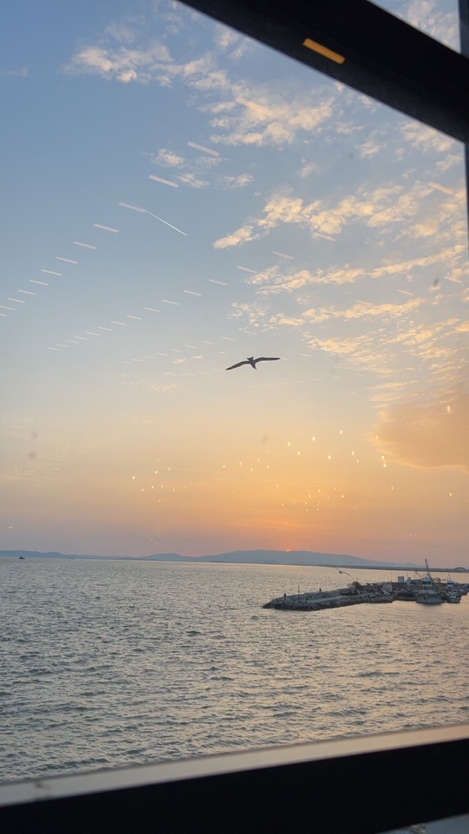 edkaragz's tweet photo. smell of the summer https://t.co/XoitihiaEV