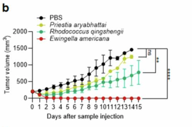 "L'analisi comparativa ha rivelato una maggiore efficacia terapeutica di E. americana rispetto ai trattamenti convenzionali, pur mantenendo un eccellente profilo di sicurezza" pmc.ncbi.nlm.nih.gov/articles/PMC12…