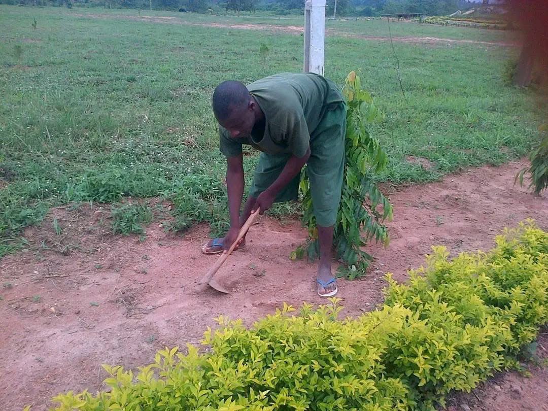 Ozor Ndi Ozor tweet media