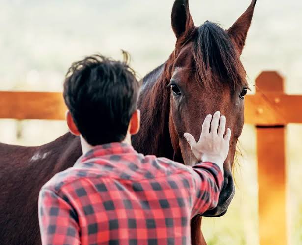 Yolcu…🦋 tweet media