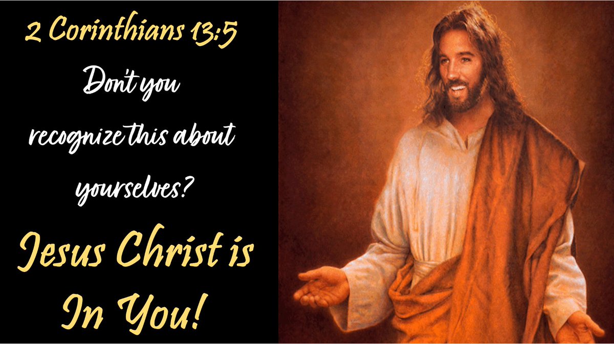 John J Ogle tweet media