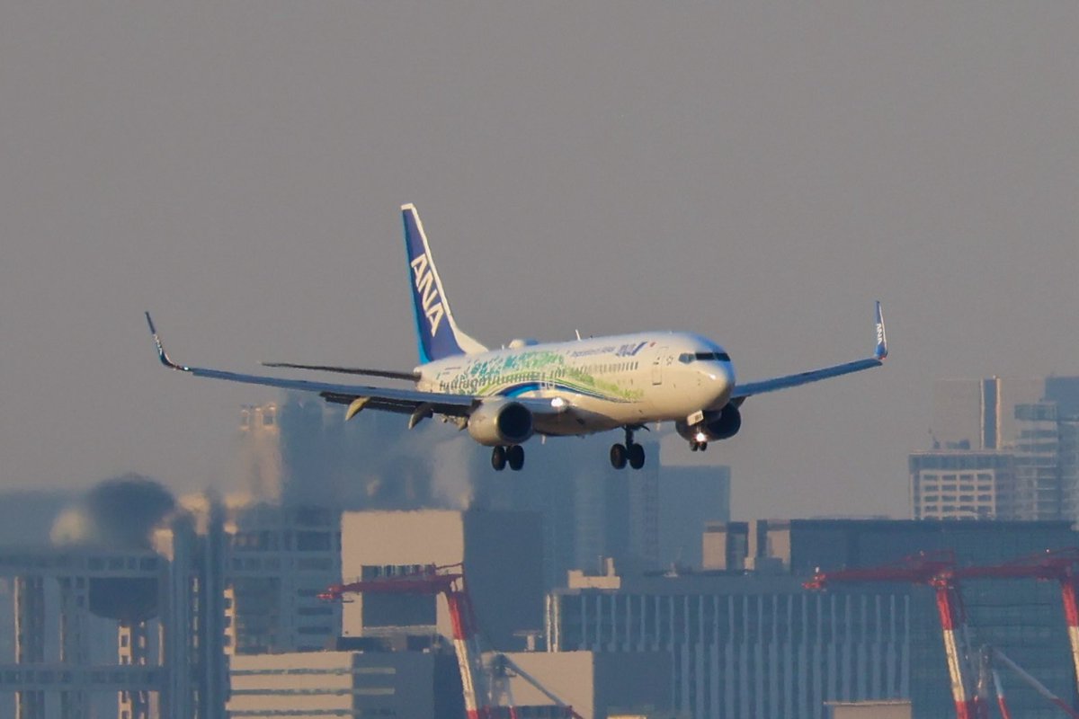 まささん。 tweet media