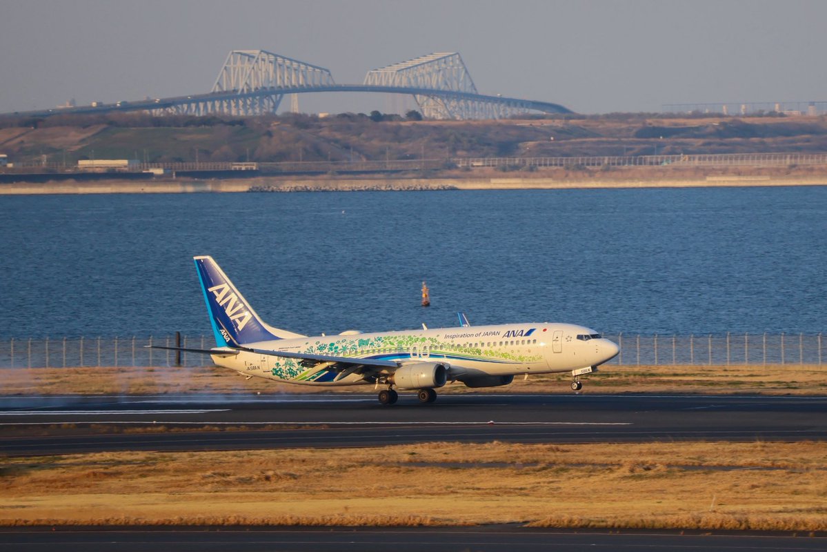 まささん。 tweet media