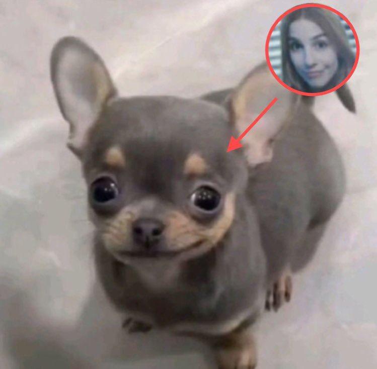 loquinha touches tweet media