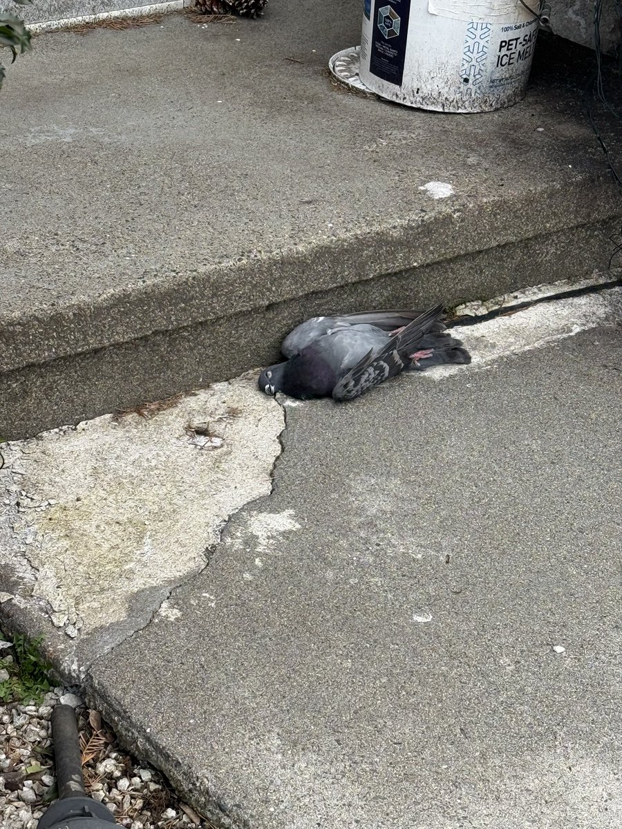 hot and bravoed tweet media