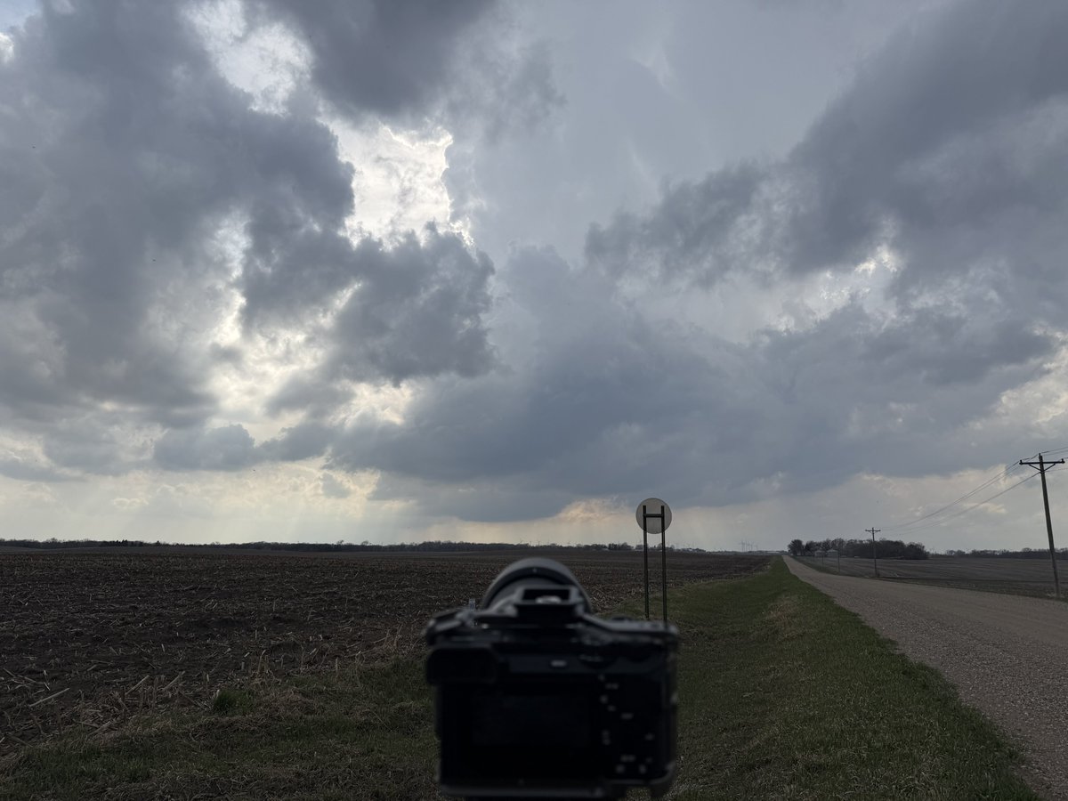 Alex Fanning tweet media