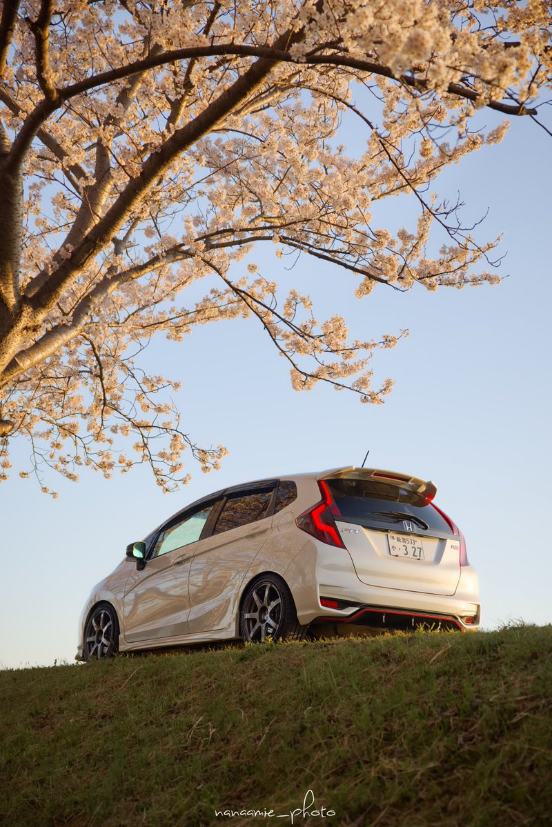 nanaamie_rill's tweet image. おはようございます🌸
#桜と愛車
#FIT #GK5