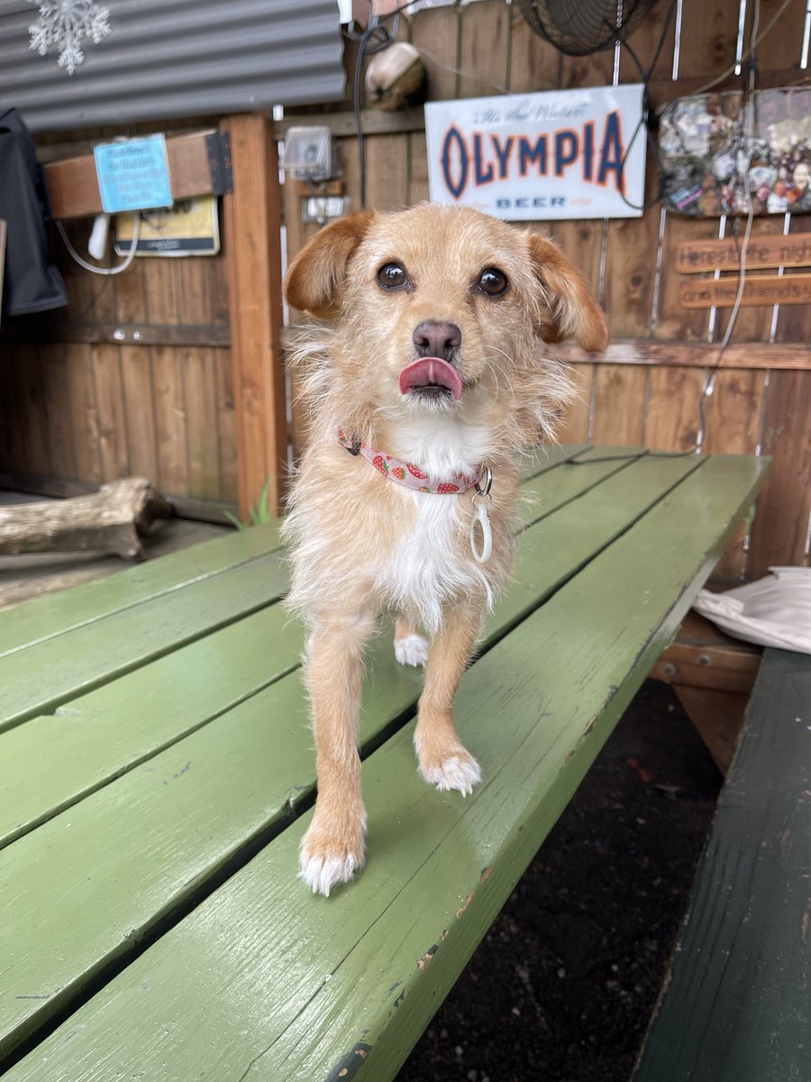 Edith Garden tweet media