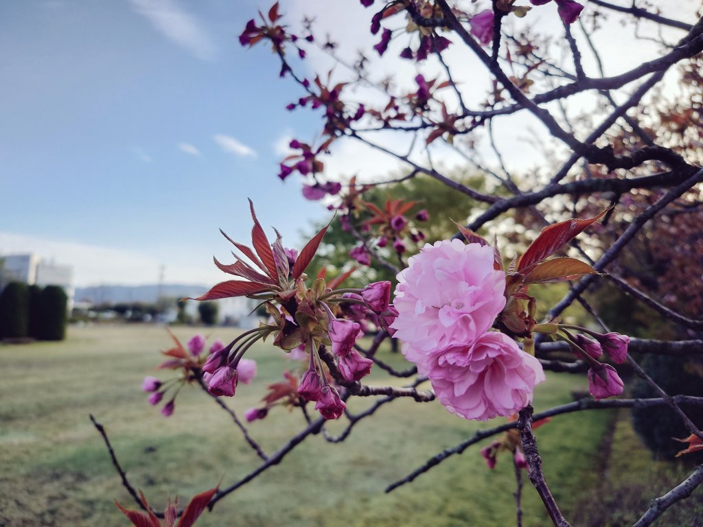 五円玉 tweet media