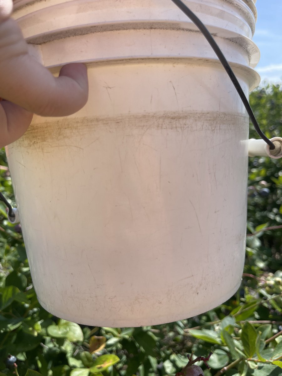 kk❀ misses changkyunnie☹️ tweet media